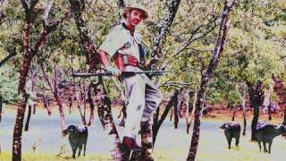 Fieldsports Britain – How to tell when a buffalo is about to charge