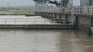 preview picture of video 'Old River Control Structure Low Sill March 8, 2019 Inlet Side'