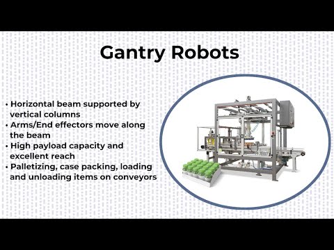 Package This EndFlex Gantry robot pick and place case packer