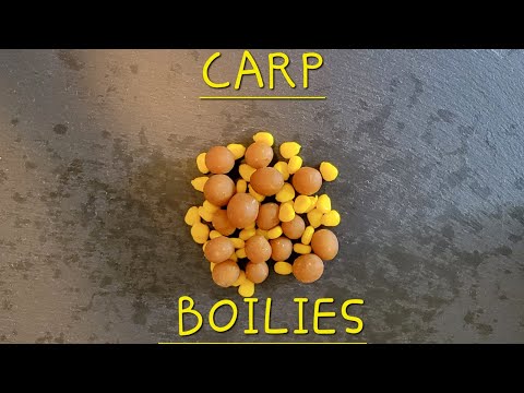 BEST Corn Boilies for carp. Homemade Corn Boilies QUICK and EASY.#carpfishing #fishing #carpbait