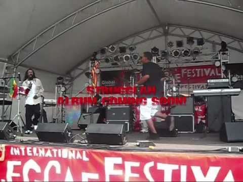 Strugglah Reggae Band & A.Y.E  @ Calgary Reggae Fest 2010 [Live Performance]