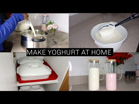 Homemade Yogurt