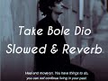 Take Bole Dio(Slowed+Reverb) | Pijush Das | Reverbed Soul