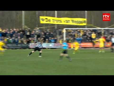 Long summary MSC-Alcides