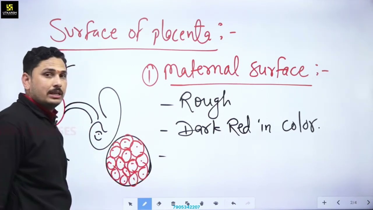 Part-5.2 Placenta/gynee