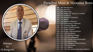 Download lagu Paradzai Mesi hits mixtape by Dj Bongz365 mp3