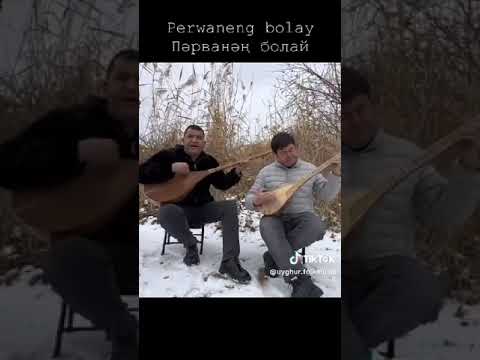 ijadiy naxsha- Perwaneng bolay