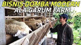 Download lagu Modern Sheep Business for 250 Sheep, Garum Farm Style | A Success Story of a Farmer mp3 Download lagu Modern Sheep Business for 250 Sheep, Garum Farm Style | A Success Story of a Farmer mp3