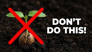 The 5 Worst Seed Starting Mistakes Gardeners Make