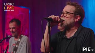 Sonark Sessions:  THE CONNELLS - &quot;Carry My Picture&quot; Live at The Barn (2023)