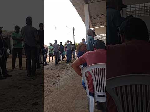 Cavalgada Em Passira Pernambuco