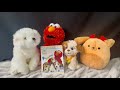 Story Time With KD Productions Featuring Sesame Street Elmo S World PUPPIES
