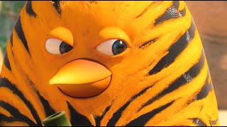 Academia de Floresta | Turma da Floresta | 105' Compilação | Desenhos Animados para Crianças