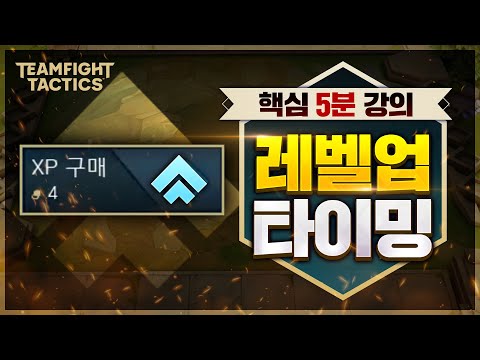 단 5분으로 레벨업을 완벽하게 알려드립니다. 롤토체스 레벨업 타이밍 핵심 공략 【TFT 5분 강의】