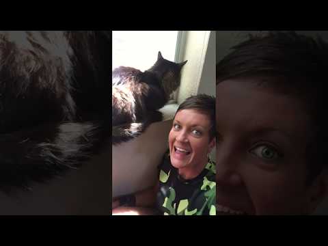 Is Soy Okay For Cats? | Two Crazy Cat Ladies