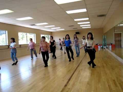 D. H. S. S.  Line Dance (Demo & Walk Through)