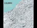 Calibre - Wilderness (feat. Steo)