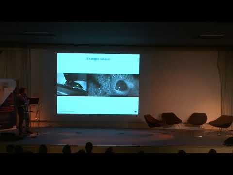 The next frontier in Open Neuroscience: large-scale, standardized, brain observatories