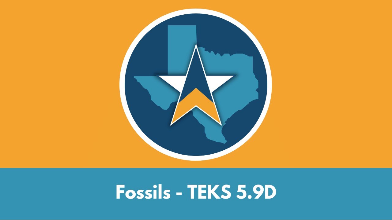5th Grade Science STAAR Test Review - Fossils TEKS 5.9D