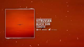 vitruvian Music Video