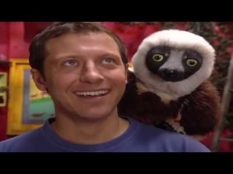 ZOBOOMAFOO - CUTE ANIMALS | Full Episode | Animal Shows For Kids | TV Shows For Children
