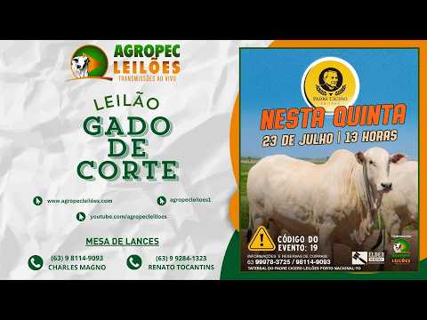 Agropecleiloes.com LEILÃO GADO DE CORTE | PADRE CÍCERO - PORTO NACIONAL-TO 23/07/2026.