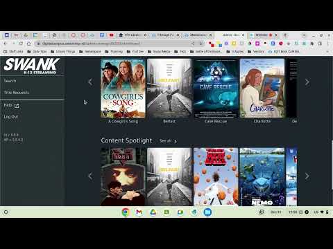 Accessing Swank Streaming Service