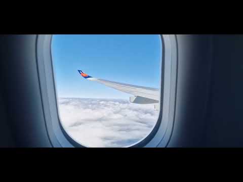 ヌメア – ラ・トントゥータ空港について詳しく解説