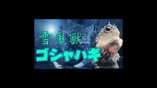 ゴシャハギの二刀流が鬼強すぎる【モンハンライズ実況里クエ制覇】