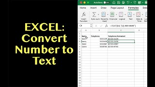 Excel: How to convert a number to text using the TEXT() function