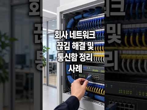 회사 네트워크 끊김 해결 및 통신함 정리 사례