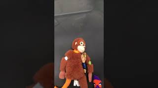 Wrestling monkey