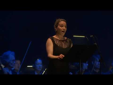 Max Richter - Sarajevo (Live In Paris 2016)