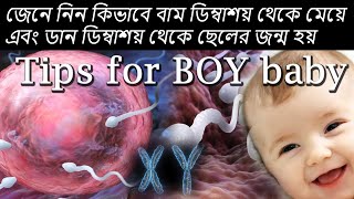 জেনে নিন কিভাবে বাম ডিম্বাশয় থেকে মেয়ে এবং ডান ডিম্বাশয় থেকে ছেলের জন্ম হয় | How Baby boy Born