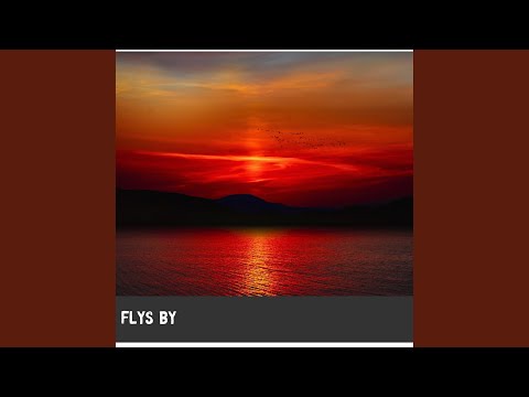 FLYS BY (Radio Edit)