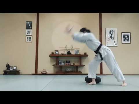 Aikido at Home - Online Lesson 7