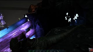 ARK（SE）日記２