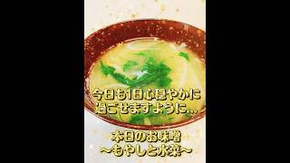 ✨本日のお味噌汁✨〜もやしと水菜〜 #料理 #簡単レシピ #自炊 #おうちごはん