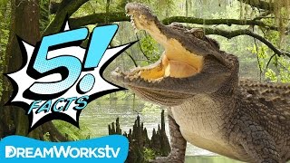 5 Facts About CROCODILES That You Can Chomp On | 5 FACTS