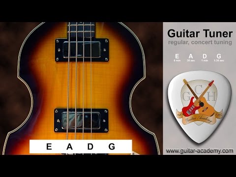 Bass tuner  -  4 string bass guitar tuner