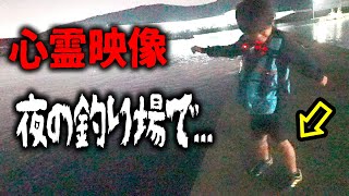 【釣り】夜にアジを釣りに行ったら、衝撃映像が撮れてしまった。