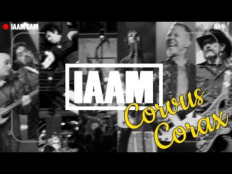 IT'S ALL ABOUT MUSIC LIVE - Corvus Corax