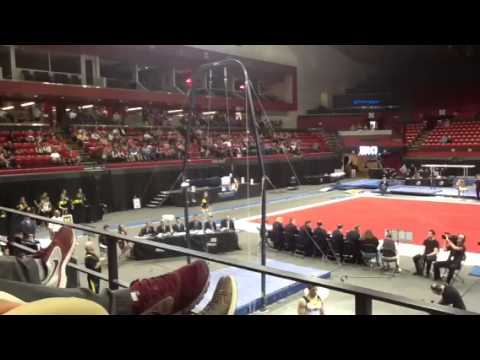 Alex Bubnov MICH SR Finals 2014 B1G
