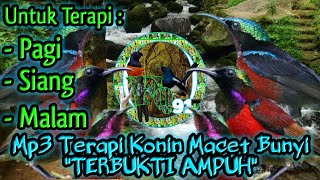 Download lagu TERAPI BURUNG : Konin Macet Bunyi Langsung Gacor, Mp3 Terapi Konin | Mp3 Pancingan Konin Macet Bunyi mp3