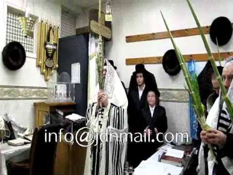 Sukkos 5772 In Koson