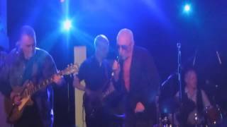 Graham Parker &amp; The Rumour - Stick to Me (Live)