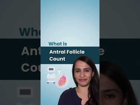 What is Antral Follicle Count (AFC)? Dr. Sneha Sathe IVF Speacialist in Mumbai