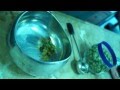 Evergreen Apothecary - Cannabis Caviar 