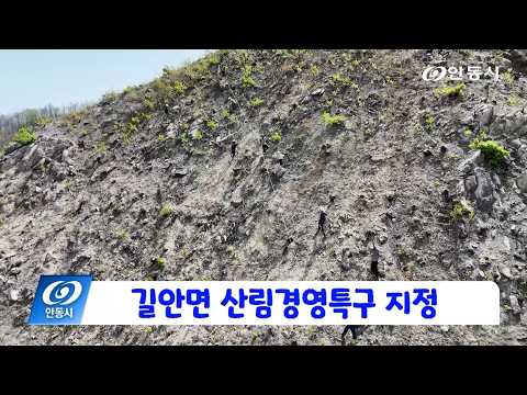 [안동 현장 리포트] 6월 29일, 길안면 산림경영특구 지정