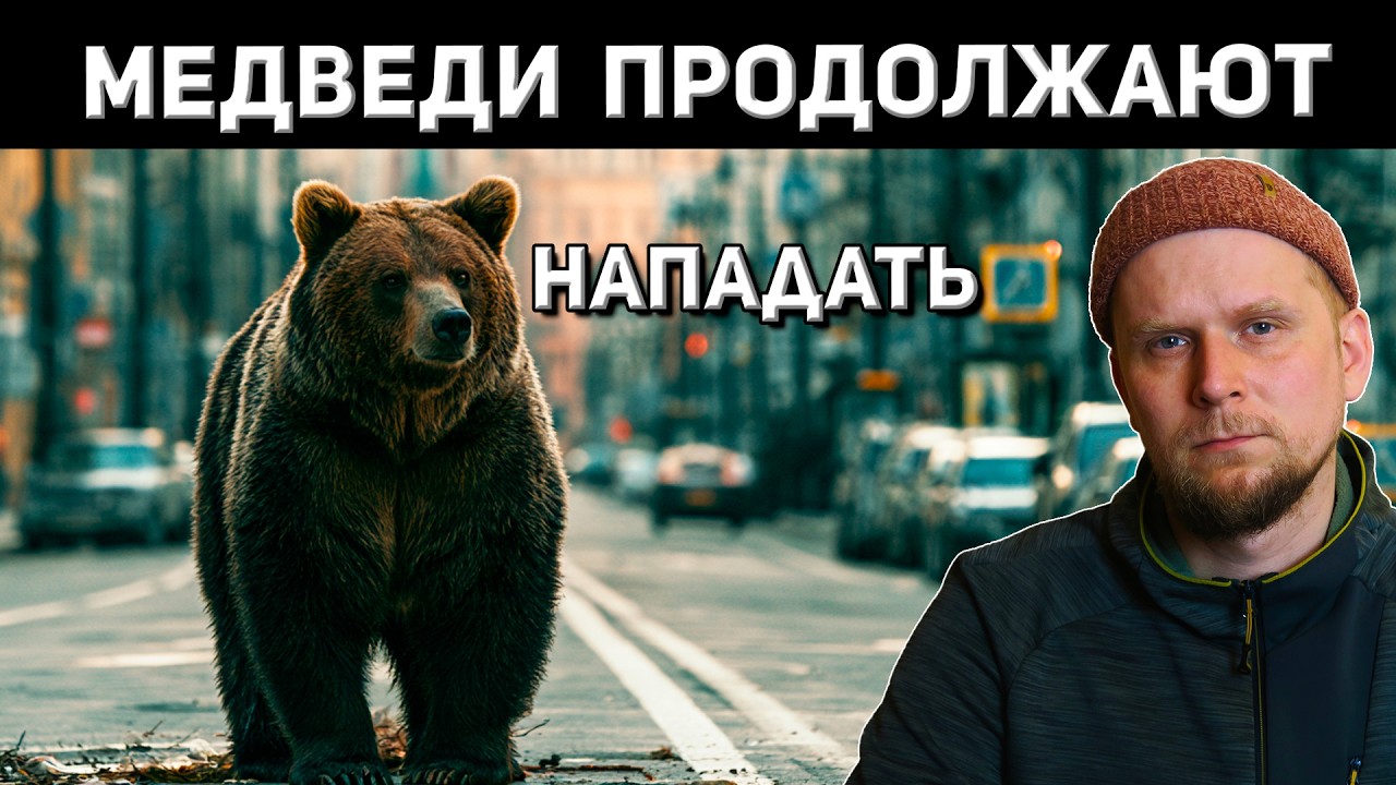 ЧТО С МЕДВЕДЯМИ? РЕКОРД НАПАДЕНИЙ 2026